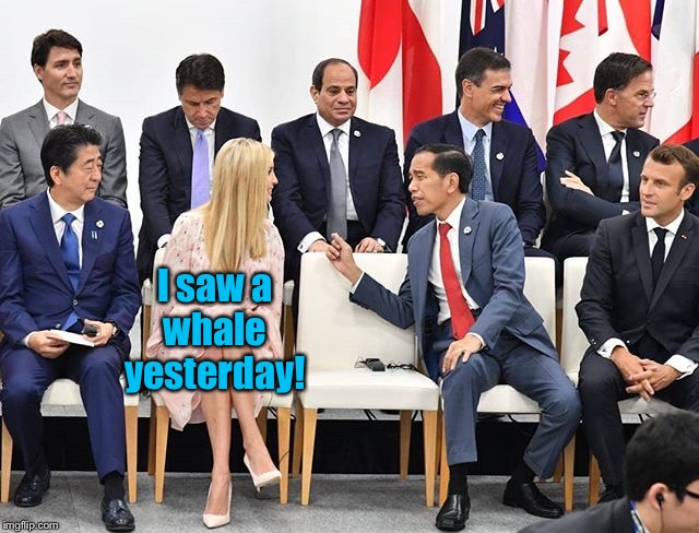 Ivanka impresses the G20 | I saw a
whale
yesterday! | made w/ Imgflip meme maker