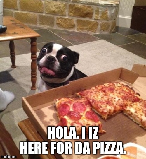 Hungry Pizza Dog | HOLA. I IZ HERE FOR DA PIZZA. | image tagged in hungry pizza dog | made w/ Imgflip meme maker