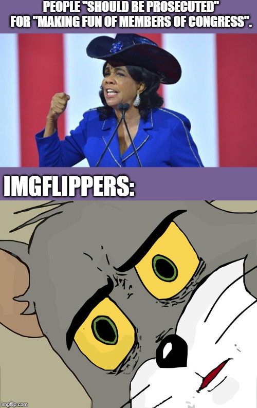 Frederica Wilson, ""We are going to shut them down and work with whoever it is to shut them down...." | PEOPLE "SHOULD BE PROSECUTED" FOR "MAKING FUN OF MEMBERS OF CONGRESS". IMGFLIPPERS: | image tagged in memes,unsettled tom,frederica wilson,politics,free speech,political meme | made w/ Imgflip meme maker