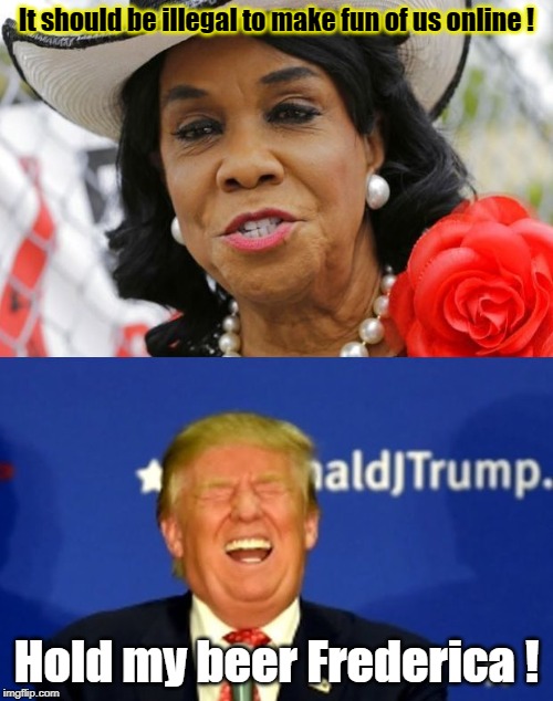 Hold my beer Frederica | It should be illegal to make fun of us online ! Hold my beer Frederica ! | image tagged in frederica wilson,donald trump | made w/ Imgflip meme maker