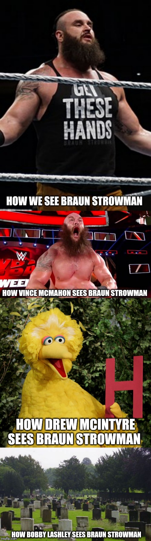 A good WWE Smackdown live 7/2/2019 meme idea | HOW WE SEE BRAUN STROWMAN; HOW VINCE MCMAHON SEES BRAUN STROWMAN; HOW DREW MCINTYRE SEES BRAUN STROWMAN; HOW BOBBY LASHLEY SEES BRAUN STROWMAN | image tagged in memes,wwe,braun strowman,drew mcintyre,bobby lashley,funny | made w/ Imgflip meme maker