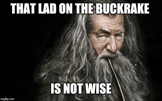 Clever Gandalf | THAT LAD ON THE BUCKRAKE; IS NOT WISE | image tagged in clever gandalf | made w/ Imgflip meme maker