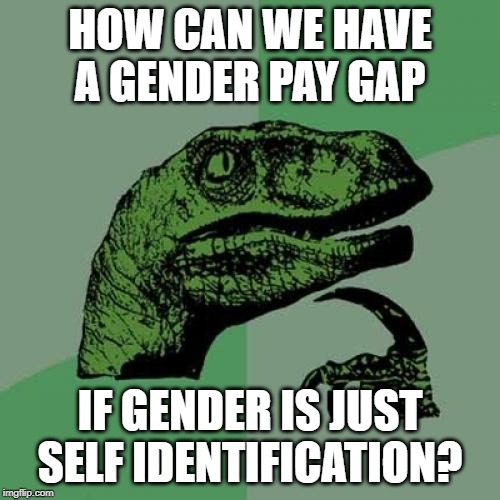 Philosoraptor Meme | HOW CAN WE HAVE A GENDER PAY GAP; IF GENDER IS JUST SELF IDENTIFICATION? | image tagged in memes,philosoraptor | made w/ Imgflip meme maker