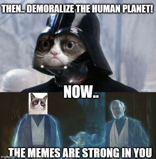 Grumpy cat jedi | THEN.. DEMORALIZE THE HUMAN PLANET! NOW.. THE MEMES ARE STRONG IN YOU | image tagged in memes,grumpy cat star wars,darth vader | made w/ Imgflip meme maker
