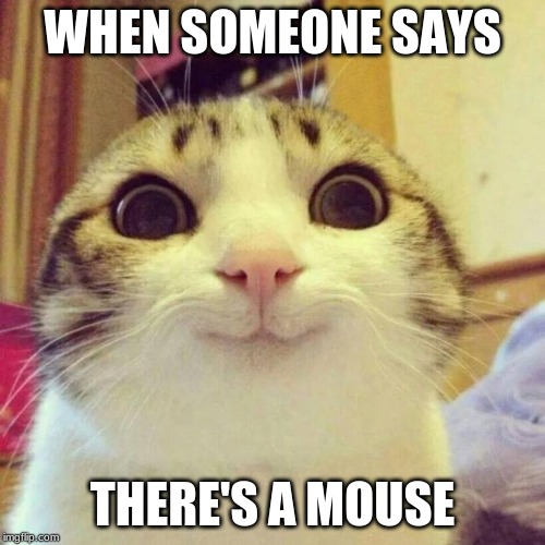 Smiling Cat Meme | WHEN SOMEONE SAYS; THERE'S A MOUSE | image tagged in memes,smiling cat | made w/ Imgflip meme maker