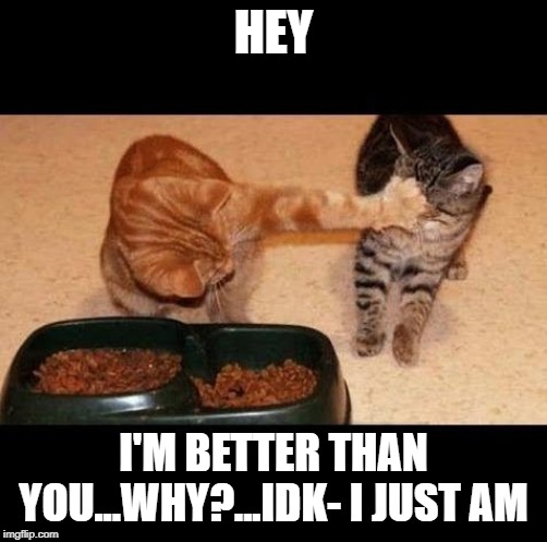 cats share food | HEY; I'M BETTER THAN YOU...WHY?...IDK- I JUST AM | image tagged in cats share food | made w/ Imgflip meme maker