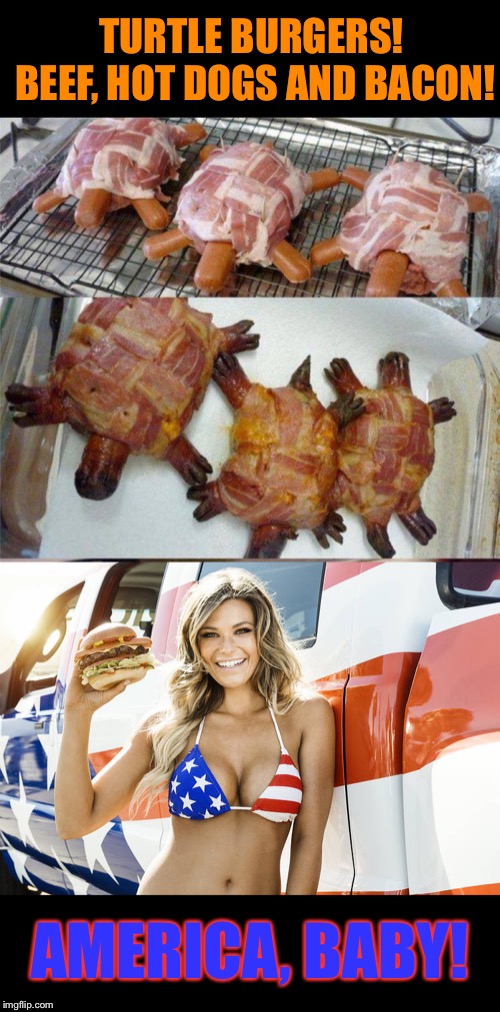 New idea for your 4th of July cookout?  Happy 4th! | TURTLE BURGERS!  BEEF, HOT DOGS AND BACON! AMERICA, BABY! | image tagged in fourth of july,turtle,burgers,barbecue,america | made w/ Imgflip meme maker