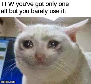Sad cat | TFW you've got only one alt but you barely use it. | image tagged in sad cat | made w/ Imgflip meme maker