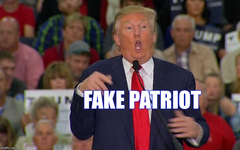 Fake Patriot | FAKE PATRIOT | image tagged in fake patriot | made w/ Imgflip meme maker