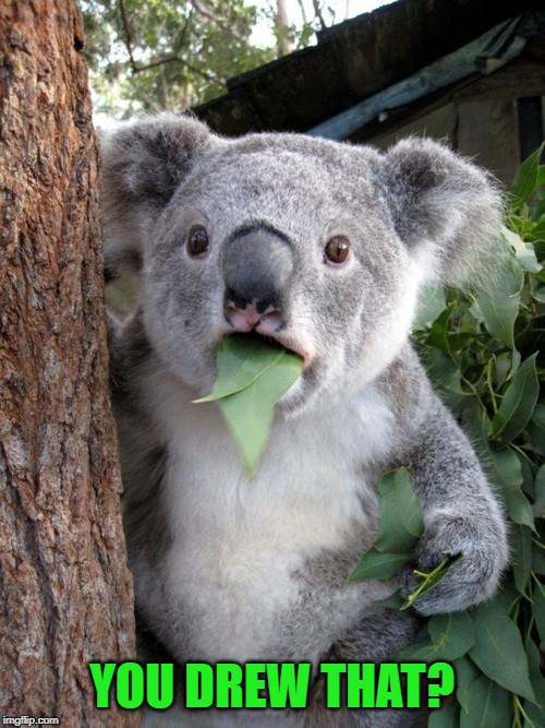 Surprised Koala Meme | YOU DREW THAT? | image tagged in memes,surprised koala | made w/ Imgflip meme maker