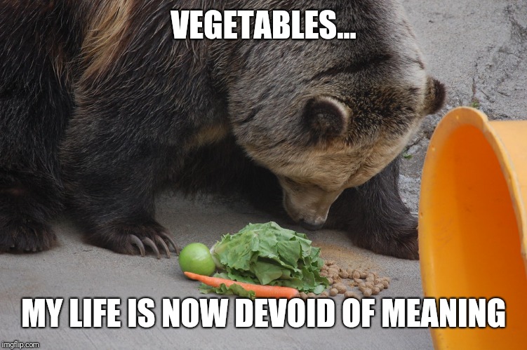 VEGETABLES... MY LIFE IS NOW DEVOID OF MEANING | made w/ Imgflip meme maker