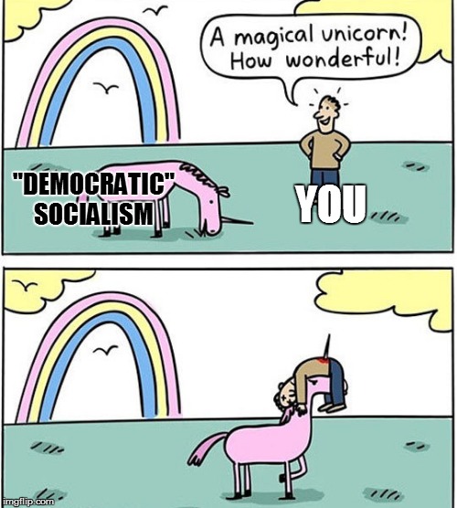 YOU; "DEMOCRATIC" SOCIALISM | image tagged in democratic socialism | made w/ Imgflip meme maker