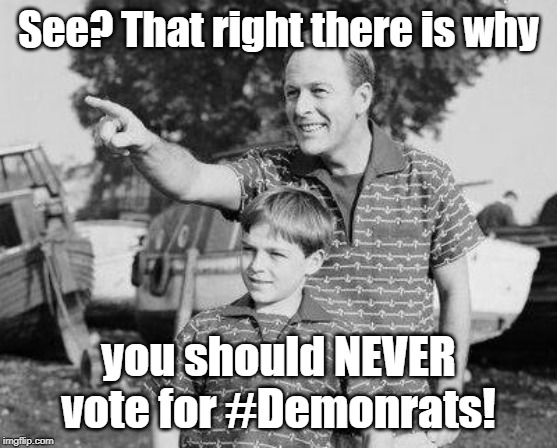Sooo many reasons... | See? That right there is why you should NEVER vote for #Demonrats! | image tagged in memes,look son | made w/ Imgflip meme maker