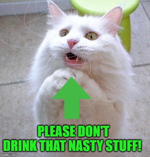Begging Cat | PLEASE DON'T DRINK THAT NASTY STUFF! | image tagged in begging cat | made w/ Imgflip meme maker