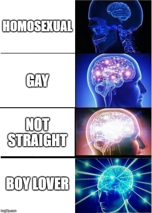 Expanding Brain Meme | HOMOSEXUAL; GAY; NOT STRAIGHT; BOY LOVER | image tagged in memes,expanding brain | made w/ Imgflip meme maker
