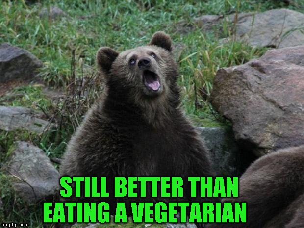 Sarcastic Bear | STILL BETTER THAN EATING A VEGETARIAN | image tagged in sarcastic bear | made w/ Imgflip meme maker