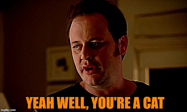state farm guy | YEAH WELL, YOU'RE A CAT | image tagged in state farm guy | made w/ Imgflip meme maker