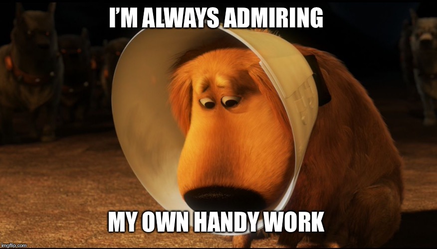 Doug from Up - Cone of Shame | I’M ALWAYS ADMIRING MY OWN HANDY WORK | image tagged in doug from up - cone of shame | made w/ Imgflip meme maker
