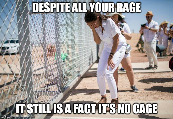 Tears Are Not Enough: Facts Don't Care About Feelings | DESPITE ALL YOUR RAGE; IT STILL IS A FACT IT'S NO CAGE | image tagged in aoc,border crisis,disingenuous,narrative | made w/ Imgflip meme maker