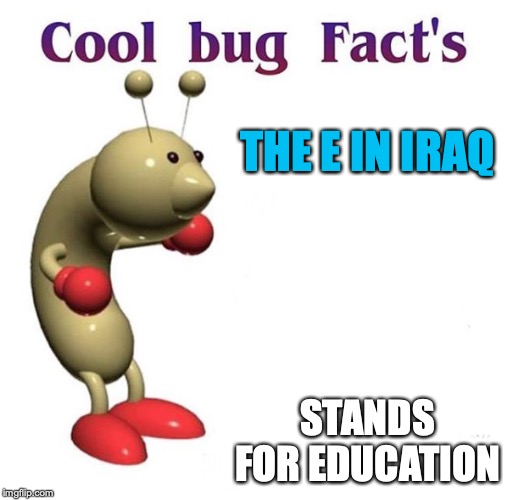 Cool Bug Facts | THE E IN IRAQ; STANDS FOR EDUCATION | image tagged in cool bug facts | made w/ Imgflip meme maker