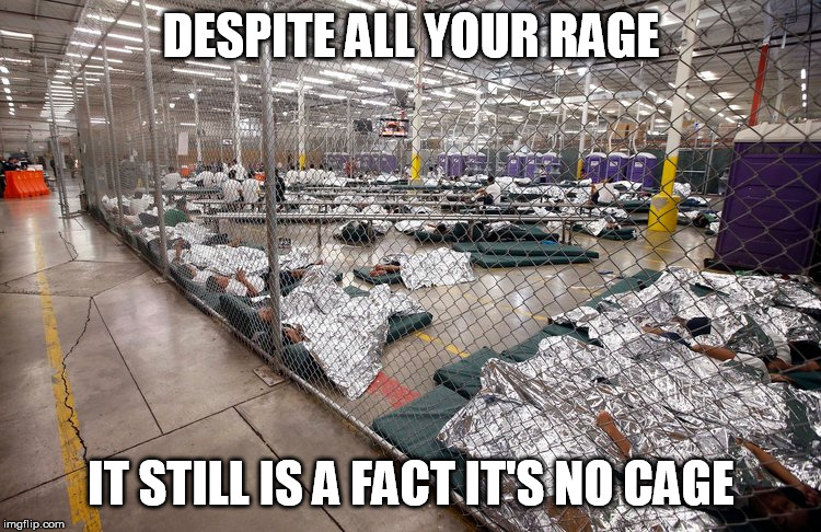 Tears Are Not Enough 2: Facts Still Don't Care About Feelings | DESPITE ALL YOUR RAGE; IT STILL IS A FACT IT'S NO CAGE | image tagged in aoc,lies,fake news,border crisis | made w/ Imgflip meme maker