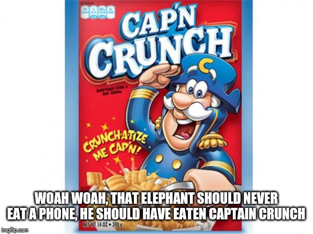 captain crunch cereal | WOAH WOAH, THAT ELEPHANT SHOULD NEVER EAT A PHONE, HE SHOULD HAVE EATEN CAPTAIN CRUNCH | image tagged in captain crunch cereal | made w/ Imgflip meme maker
