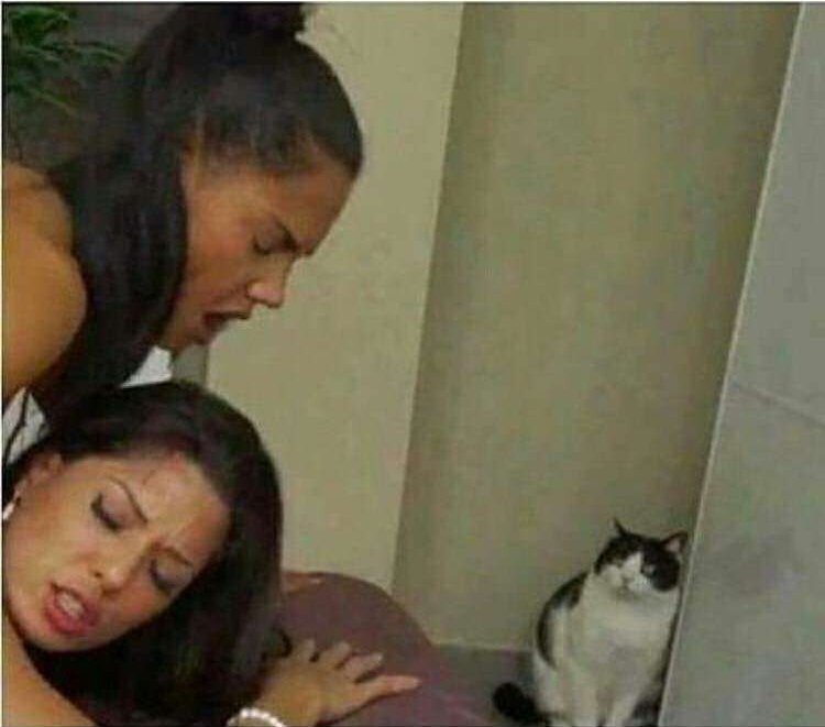 Girl sex with cat Blank Meme Template