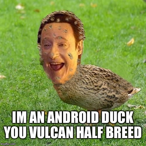 The Data Duck | IM AN ANDROID DUCK YOU VULCAN HALF BREED | image tagged in the data duck | made w/ Imgflip meme maker