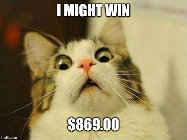 Scared Cat | I MIGHT WIN; $869.00 | image tagged in memes,scared cat | made w/ Imgflip meme maker