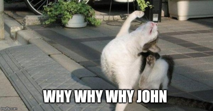 Curse you villain cat | WHY WHY WHY JOHN | image tagged in curse you villain cat | made w/ Imgflip meme maker