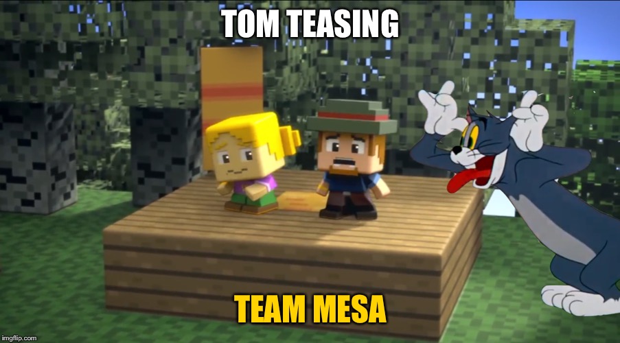 Tom and Jerry x Minecraft Mini Series | TOM TEASING; TEAM MESA | image tagged in tom and jerry x minecraft mini series,cats | made w/ Imgflip meme maker