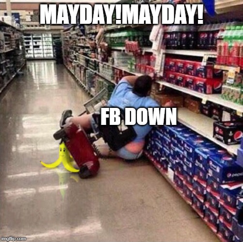 mayday! murica is down | MAYDAY!MAYDAY! FB DOWN | image tagged in mayday murica is down | made w/ Imgflip meme maker