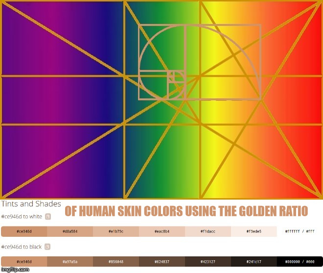 Human skin colors using the Golden Ratio. | OF HUMAN SKIN COLORS USING THE GOLDEN RATIO | image tagged in the golden ratio,the human body,skin,colors | made w/ Imgflip meme maker