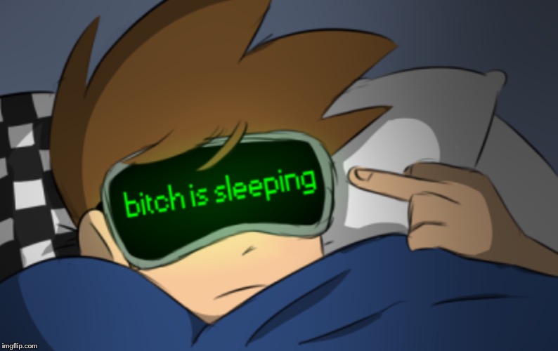 Bitch is sleeping | image tagged in eddsworld,tom,cussing | made w/ Imgflip meme maker