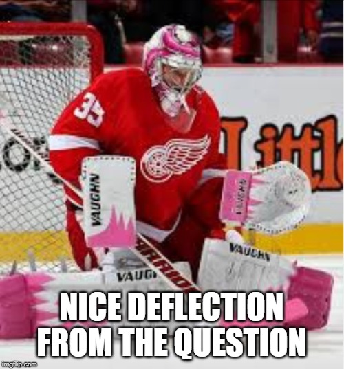 Goalie in pink | NICE DEFLECTION FROM THE QUESTION | image tagged in goalie in pink | made w/ Imgflip meme maker