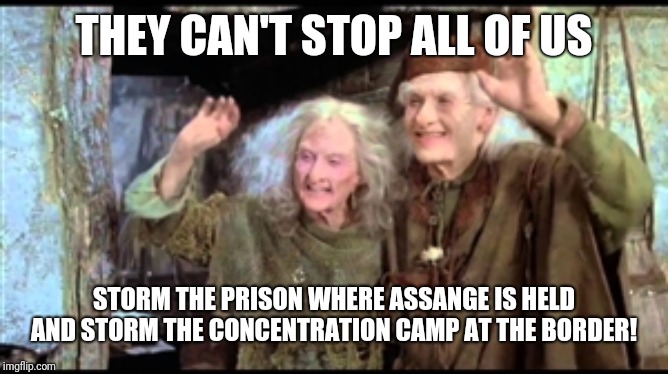 Have fun storming the castle! | THEY CAN'T STOP ALL OF US; STORM THE PRISON WHERE ASSANGE IS HELD AND STORM THE CONCENTRATION CAMP AT THE BORDER! | image tagged in have fun storming the castle | made w/ Imgflip meme maker
