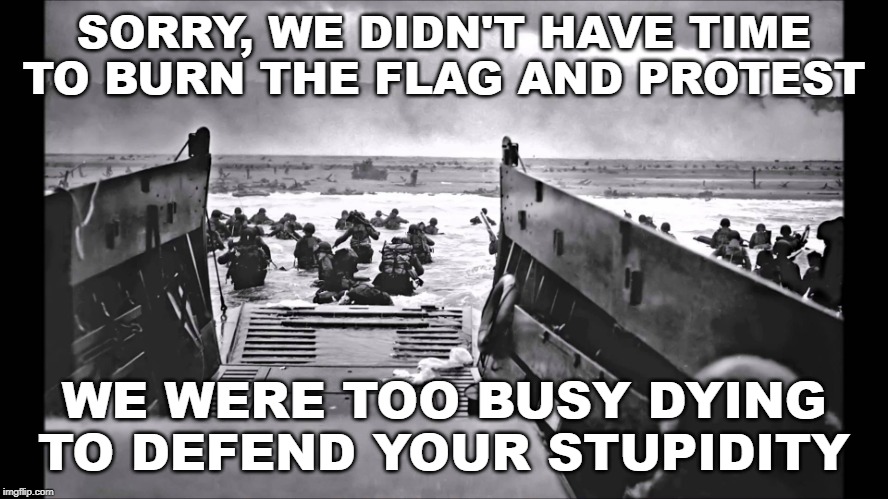 D-Day Omaha Beach | SORRY, WE DIDN'T HAVE TIME TO BURN THE FLAG AND PROTEST WE WERE TOO BUSY DYING TO DEFEND YOUR STUPIDITY | image tagged in d-day omaha beach | made w/ Imgflip meme maker