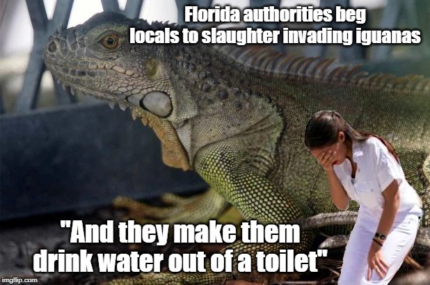 Illegal Immigrants in Florida | Florida authorities beg locals to slaughter invading iguanas; "And they make them drink water out of a toilet" | image tagged in aoc,toilet humor,iguanas,florida | made w/ Imgflip meme maker