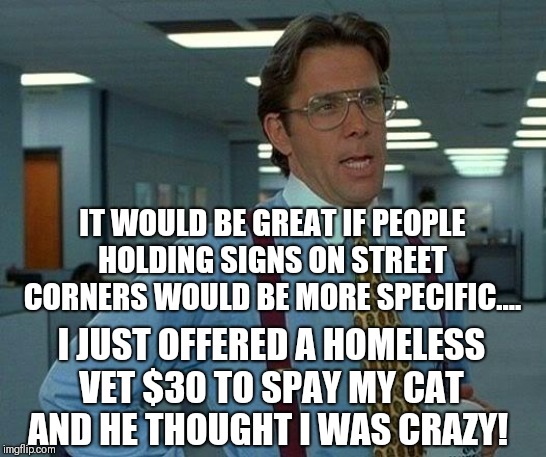 That Would Be Great Meme | IT WOULD BE GREAT IF PEOPLE HOLDING SIGNS ON STREET CORNERS WOULD BE MORE SPECIFIC.... I JUST OFFERED A HOMELESS VET $30 TO SPAY MY CAT AND HE THOUGHT I WAS CRAZY! | image tagged in memes,that would be great,vets,helping homeless,vet,sign fail | made w/ Imgflip meme maker