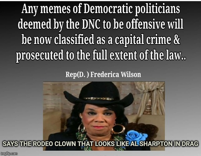 Frederica Wilson | SAYS THE RODEO CLOWN THAT LOOKS LIKE AL SHARPTON IN DRAG | image tagged in frederica wilson | made w/ Imgflip meme maker
