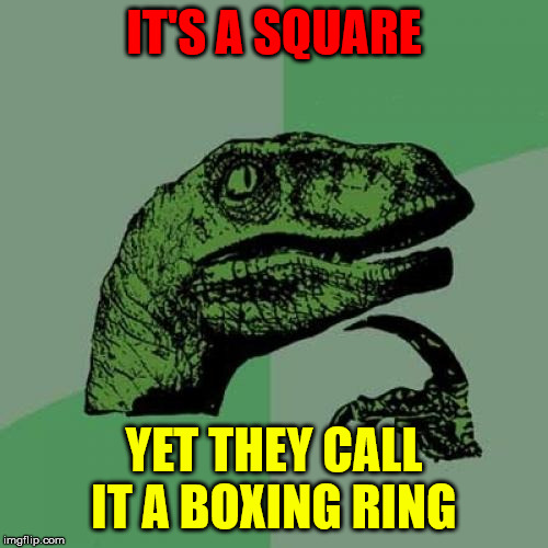 professional boxing is a lie | IT'S A SQUARE; YET THEY CALL IT A BOXING RING | image tagged in memes,philosoraptor | made w/ Imgflip meme maker