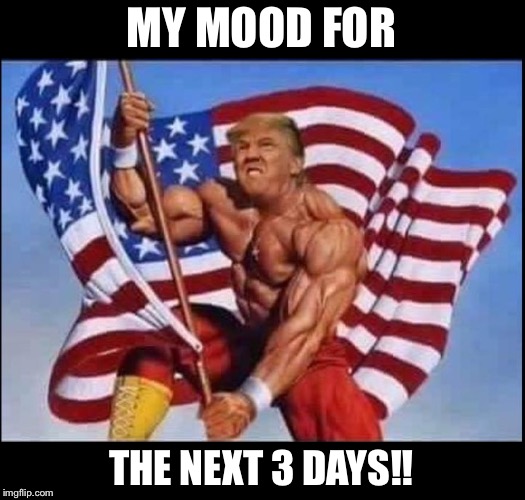 ‘Merica!!!  Can’t wait to see Trumps show in DC tomorow!  MAGA!! | MY MOOD FOR; THE NEXT 3 DAYS!! | image tagged in maga | made w/ Imgflip meme maker