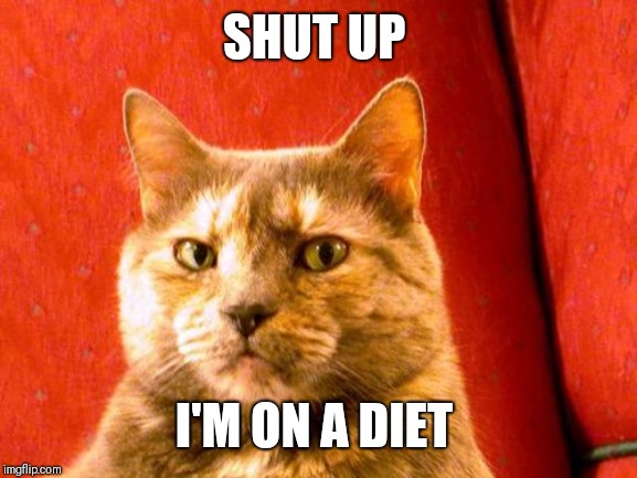 Suspicious Cat Meme | SHUT UP I'M ON A DIET | image tagged in memes,suspicious cat | made w/ Imgflip meme maker
