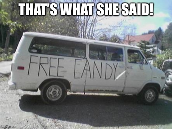 White van | THAT’S WHAT SHE SAID! | image tagged in white van | made w/ Imgflip meme maker
