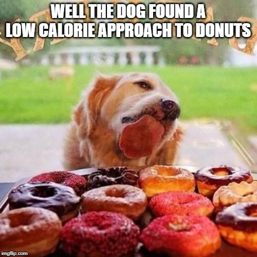 Dog Donuts | WELL THE DOG FOUND A LOW CALORIE APPROACH TO DONUTS | image tagged in dog donuts | made w/ Imgflip meme maker