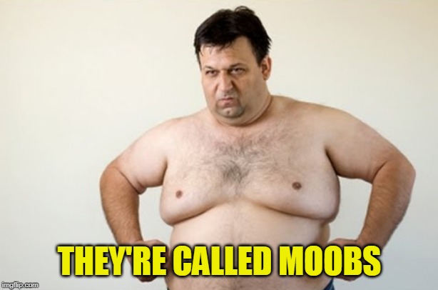 THEY'RE CALLED MOOBS | made w/ Imgflip meme maker