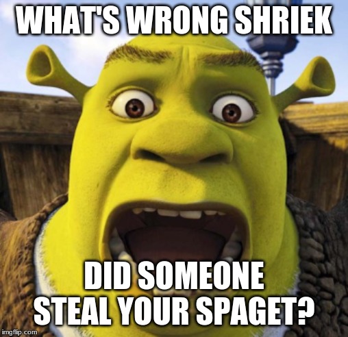 WHAT'S WRONG SHRIEK; DID SOMEONE STEAL YOUR SPAGET? | image tagged in shrek,oof,all | made w/ Imgflip meme maker