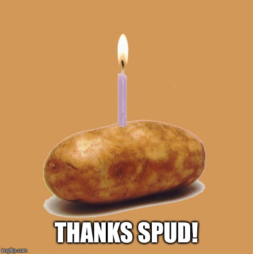 happy birthday potato | THANKS SPUD! | image tagged in happy birthday potato | made w/ Imgflip meme maker