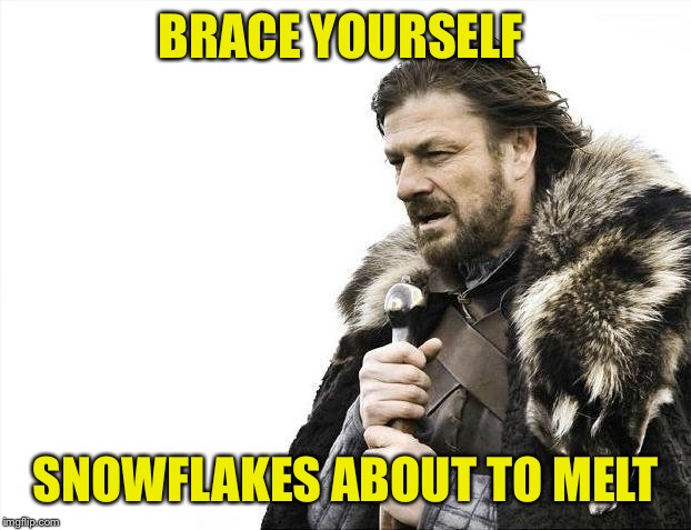 Brace Yourselves X is Coming Meme | BRACE YOURSELF SNOWFLAKES ABOUT TO MELT | image tagged in memes,brace yourselves x is coming | made w/ Imgflip meme maker