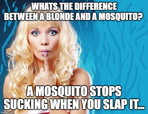 Smack Smack Smack | WHATS THE DIFFERENCE BETWEEN A BLONDE AND A MOSQUITO? A MOSQUITO STOPS SUCKING WHEN YOU SLAP IT... | image tagged in ditzy blonde | made w/ Imgflip meme maker